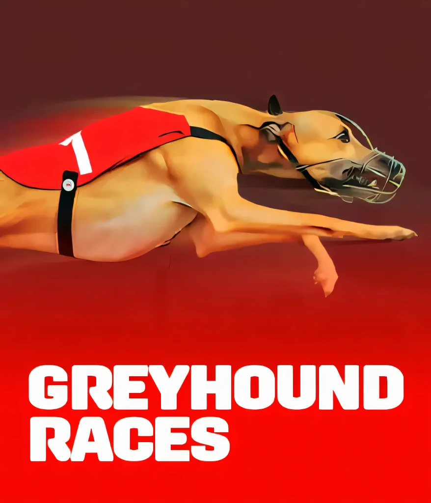 hanzbet-greyhound